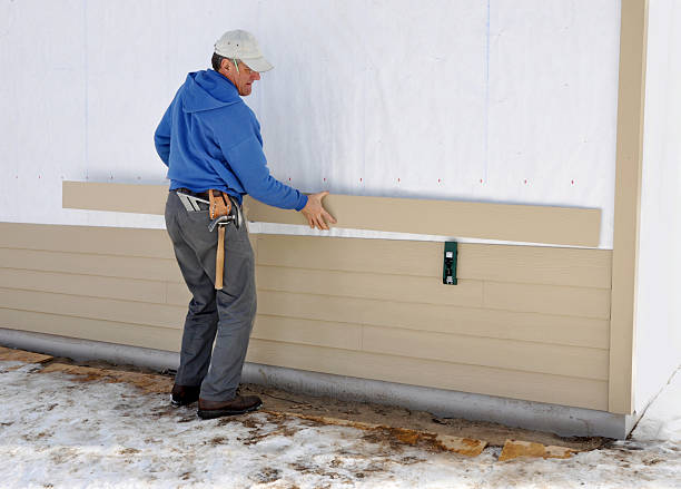 Best Brick Veneer Siding  in La Grulla, TX